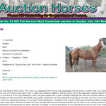 8/24/2013 AuctionHorses Ad