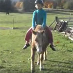 11/17/2011 Goblin Goes Riding